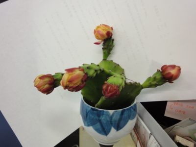 f:id:hatekota810:20121123195215j:image