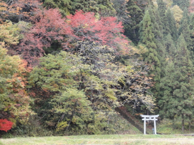 f:id:hatekota810:20121125173839j:image