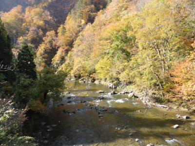 f:id:hatekota810:20121126191110j:image