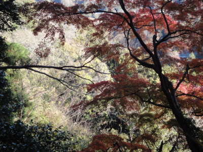 f:id:hatekota810:20121222191014j:image