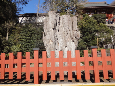 f:id:hatekota810:20121224161223j:image