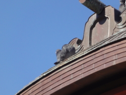 f:id:hatekota810:20121224161416j:image