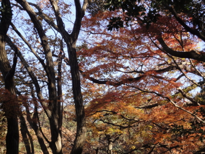 f:id:hatekota810:20121225194159j:image f:id:hatekota810:20121225194159j:image