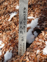 f:id:hatekota810:20130112192013j:image