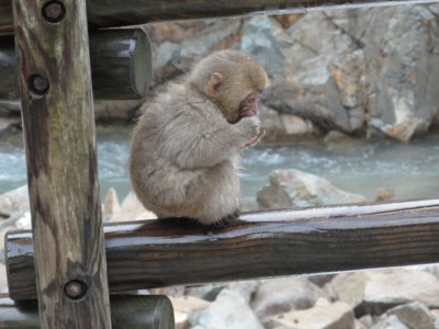 f:id:hatekota810:20130115201723j:image