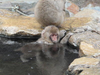 f:id:hatekota810:20130115201847j:image