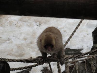 f:id:hatekota810:20130115202807j:image