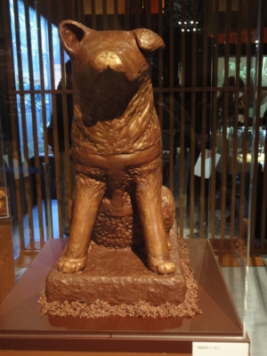 f:id:hatekota810:20130123202157j:image