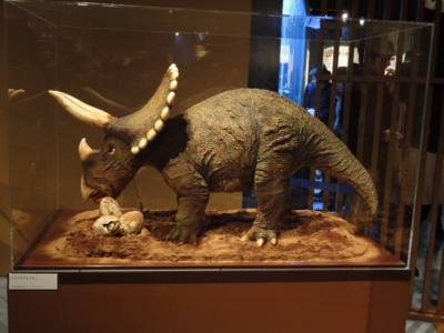 f:id:hatekota810:20130123202514j:image