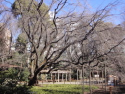 f:id:hatekota810:20130131192502j:image