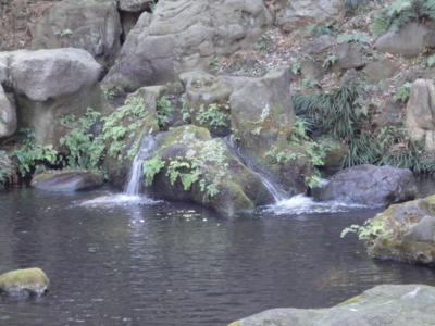f:id:hatekota810:20130203124945j:image
