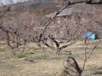 f:id:hatekota810:20130228193033j:image
