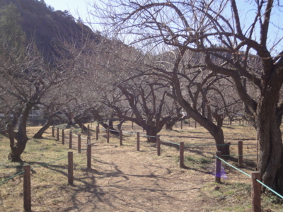 f:id:hatekota810:20130228193237j:image