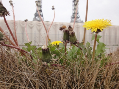 f:id:hatekota810:20130412192012j:image