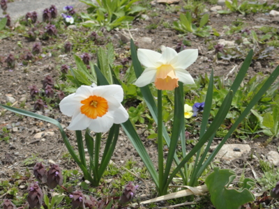 f:id:hatekota810:20130506200633j:image
