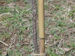 f:id:hatekota810:20130507191858j:image