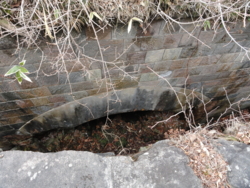 f:id:hatekota810:20130511150848j:image