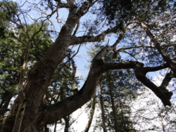 f:id:hatekota810:20130514191931j:image