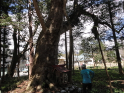 f:id:hatekota810:20130514191939j:image