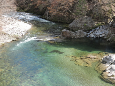 f:id:hatekota810:20130515193922j:image