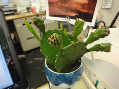 f:id:hatekota810:20130517185248j:image