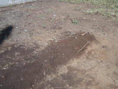 f:id:hatekota810:20130517185838j:image