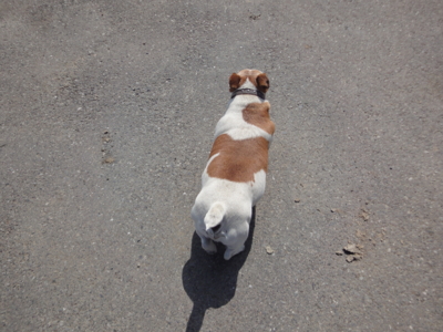 f:id:hatekota810:20130518191356j:image