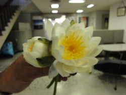 f:id:hatekota810:20130520192525j:image