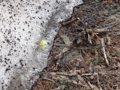 f:id:hatekota810:20130612193910j:image