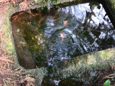 f:id:hatekota810:20130612194322j:image