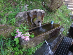 f:id:hatekota810:20130618191245j:image