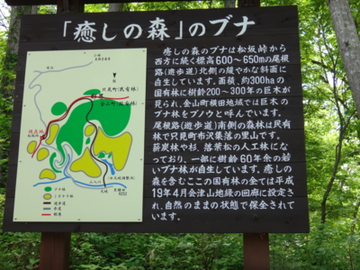 f:id:hatekota810:20130618192330j:image