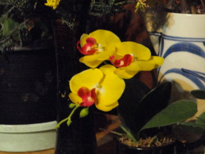 f:id:hatekota810:20130630180507j:image