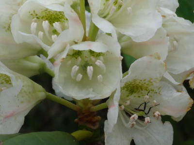 f:id:hatekota810:20130707192121j:image