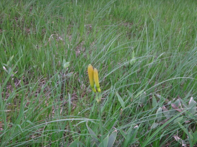 f:id:hatekota810:20130707193151j:image