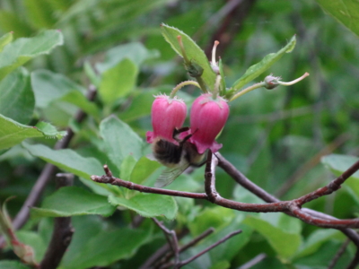 f:id:hatekota810:20130708190634j:image