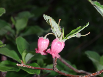 f:id:hatekota810:20130708190925j:image