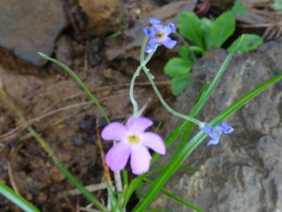 f:id:hatekota810:20130711190749j:image