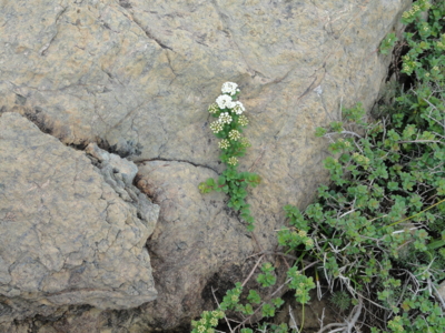 f:id:hatekota810:20130711191530j:image