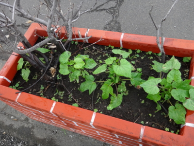 f:id:hatekota810:20130714191312j:image