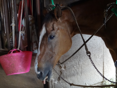 f:id:hatekota810:20130717191818j:image