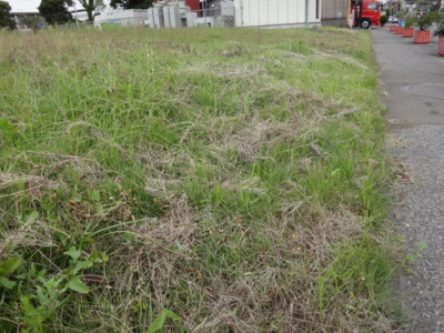 f:id:hatekota810:20130718184403j:image