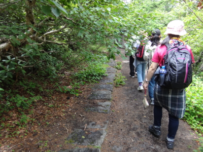 f:id:hatekota810:20130804174557j:image