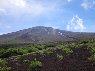 f:id:hatekota810:20130804175121j:image