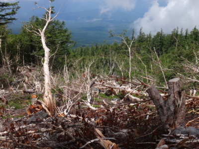 f:id:hatekota810:20130804175413j:image