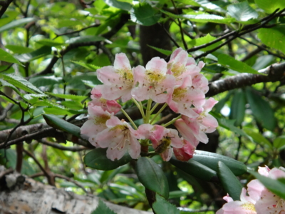 f:id:hatekota810:20130806185349j:image