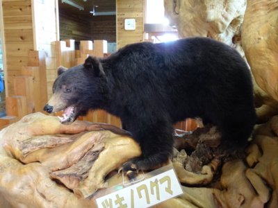 f:id:hatekota810:20130823184657j:image