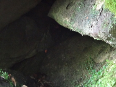 f:id:hatekota810:20130823185304j:image