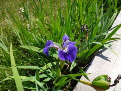 f:id:hatekota810:20130823185817j:image