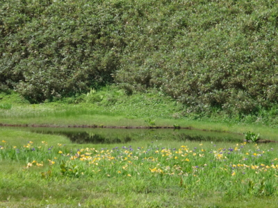 f:id:hatekota810:20130823191226j:image